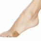 beautiful women's feet on white background
